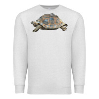 Oatmeal Heather Tortoise Illustrations Premium Sweatshirt - LillyAllenDesigns