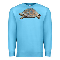Ocean Blue Tortoise Illustrations Premium Sweatshirt - LillyAllenDesigns