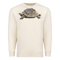 Sandshell Tortoise Illustrations Premium Sweatshirt - LillyAllenDesigns