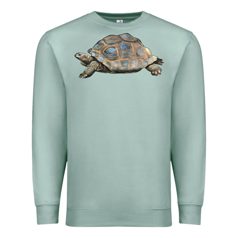Tortoise Illustrations Premium Sweatshirt by LillyAllenDesigns | Teevron