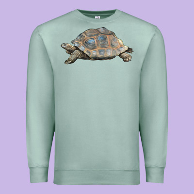 Tortoise Illustrations Premium Sweatshirt Designed By Lillyallendesigns