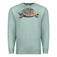 Seafoam Tortoise Illustrations Premium Sweatshirt - LillyAllenDesigns
