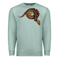 Seafoam Royal Ball Python Illustrations Premium Sweatshirt - LillyAllenDesigns