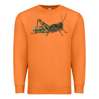 Carrot Grasshopper Premium Sweatshirt - LillyAllenDesigns