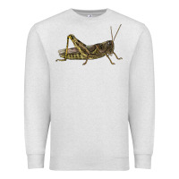 Oatmeal Heather Grasshopper Premium Sweatshirt - LillyAllenDesigns