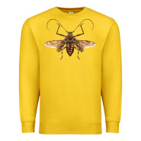 Lemon acrocinus beetle with wings Premium Sweatshirt - LillyAllenDesigns