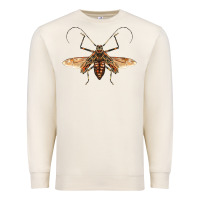 Sandshell acrocinus beetle with wings Premium Sweatshirt - LillyAllenDesigns