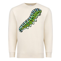 Sandshell Papilio Machaon Caterpillar Premium Sweatshirt - LillyAllenDesigns