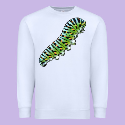 Papilio Machaon Caterpillar Premium Sweatshirt Designed By Lillyallendesigns