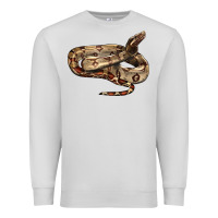 Dove Grey red tail boa snake Premium Sweatshirt - LillyAllenDesigns