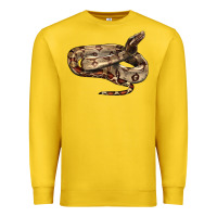 Lemon red tail boa snake Premium Sweatshirt - LillyAllenDesigns