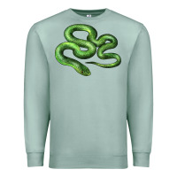 Seafoam boomslang snake Premium Sweatshirt - LillyAllenDesigns