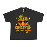 Pigment Black Coolest Pumpkin In The Patch Urban Heavy Tee - texasbilliewilder