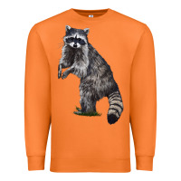 Carrot Raccoon Illustrations Premium Sweatshirt - LillyAllenDesigns