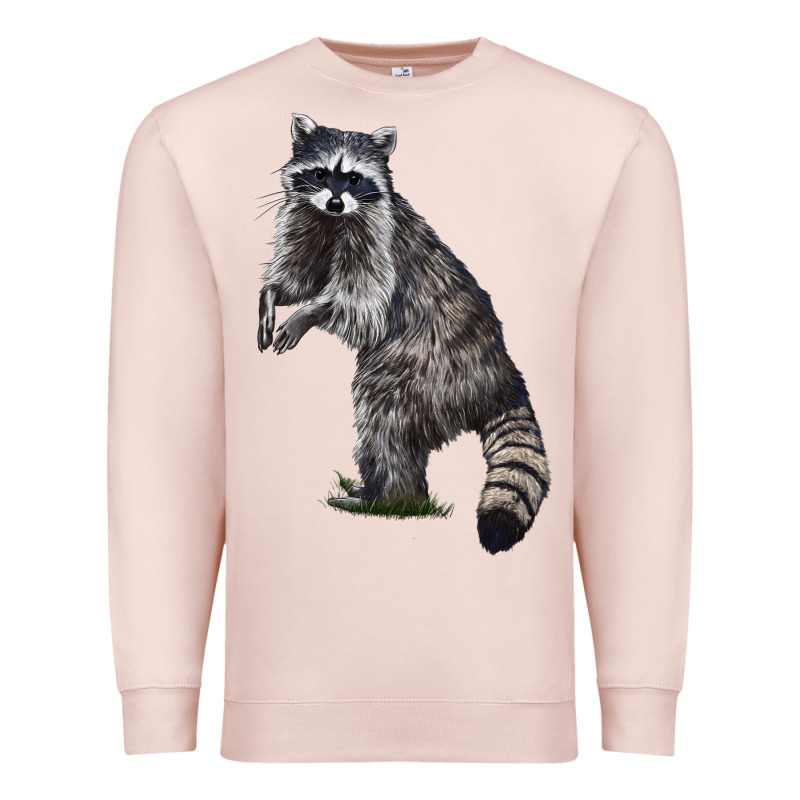 Raccoon Illustrations Premium Sweatshirt by LillyAllenDesigns | Teevron