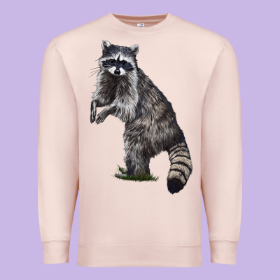 Raccoon Illustrations Premium Sweatshirt Designed By Lillyallendesigns