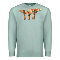 Seafoam lactarius rufus mushroom Premium Sweatshirt - LillyAllenDesigns