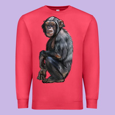 Chimpanzee Illustrations Premium Sweatshirt Designed By Lillyallendesigns