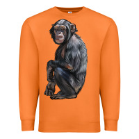 Carrot Chimpanzee Illustrations Premium Sweatshirt - LillyAllenDesigns