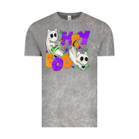 Cloud Rock Hey Boo with Ghost Cats Vintage Tee - texasbilliewilder