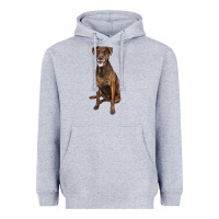 Heather Grey plott hound Heavyweight Hoodie - LillyAllenDesigns