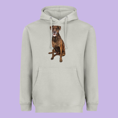 Plott Hound Heavyweight Hoodie Designed By Lillyallendesigns