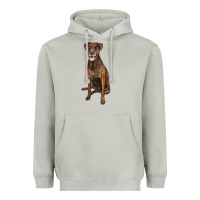 Moon Dust plott hound Heavyweight Hoodie - LillyAllenDesigns