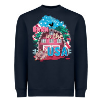 Barn In The Usa Heavyweight Sweatshirt | Teevron