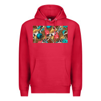 Cardinal american  football with turquoise license plate Premium Hoodie - BundleAndBundleShop