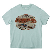 Arona cessna 182 skylane since 1956 retro vintage airplane design Heavy Core Tee - tuanDangUi