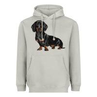Moon Dust Dachshund Dog Illustrations Heavyweight Hoodie - LillyAllenDesigns