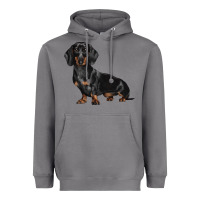 Storm Dachshund Dog Illustrations Heavyweight Hoodie - LillyAllenDesigns