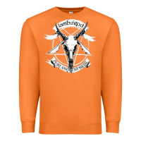 Carrot Day Gift For Lamb Of God Cool Gifts Premium Sweatshirt - tuanDangUi