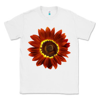 White Rouge Royale Sunflower Classic Tee - LillyAllenDesigns