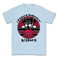 Dusty Blue I kissed a dog and I like it Classic Tee - Bettercallsaul