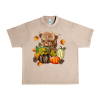 French Oak Heifer with Pumpkins Urban Heavy Tee - texasbilliewilder