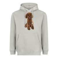 Moon Dust Poodles Dog lllustrations Heavyweight Hoodie - LillyAllenDesigns