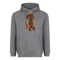 Storm Poodles Dog lllustrations Heavyweight Hoodie - LillyAllenDesigns