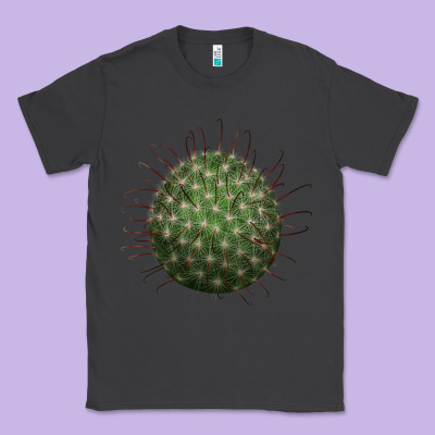 Arizona Fishhook Cactus Classic Tee Designed By Lillyallendesigns