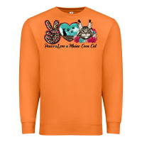 Carrot peace love maine coon cat Premium Sweatshirt - LillyAllenDesigns