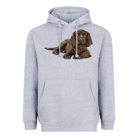 Heather Grey Sussex Spaniels llustrations Heavyweight Hoodie - LillyAllenDesigns