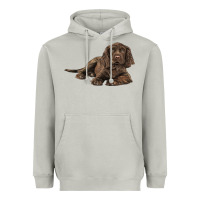 Moon Dust Sussex Spaniels llustrations Heavyweight Hoodie - LillyAllenDesigns