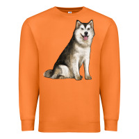Carrot Alaskan Malamute Dog Premium Sweatshirt - LillyAllenDesigns