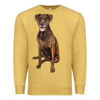 Antique Gold plott hound Premium Sweatshirt - LillyAllenDesigns