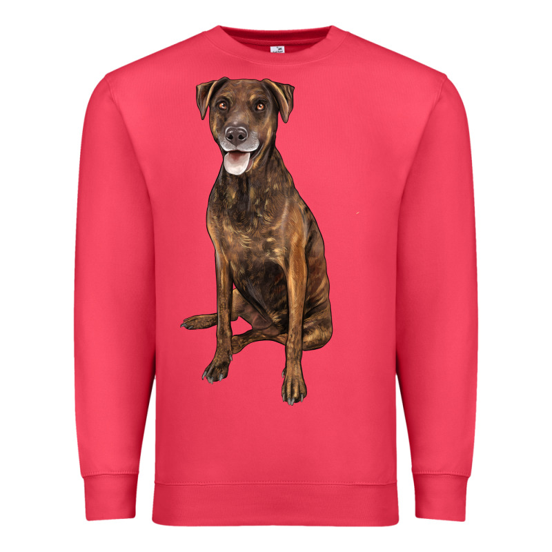 Plott Hound Premium Sweatshirt by LillyAllenDesigns | Teevron