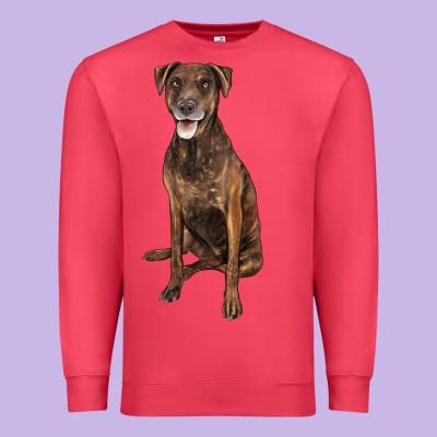 Plott Hound Premium Sweatshirt Designed By Lillyallendesigns