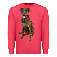 Cardinal plott hound Premium Sweatshirt - LillyAllenDesigns