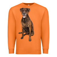 Carrot plott hound Premium Sweatshirt - LillyAllenDesigns