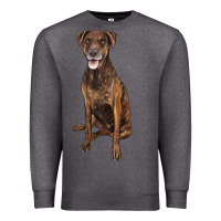 Charcoal Heather plott hound Premium Sweatshirt - LillyAllenDesigns