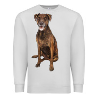 Dove Grey plott hound Premium Sweatshirt - LillyAllenDesigns